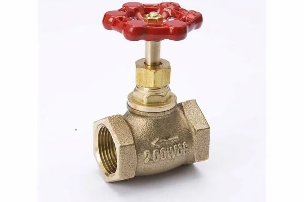 Globe valve 1 2