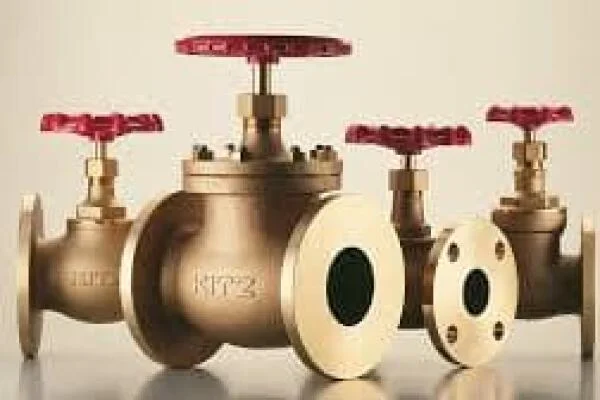 Globe valve Kitz