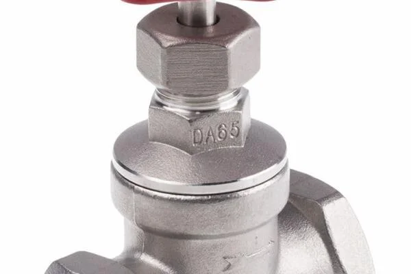 Globe valve stainless steel