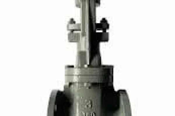 Iron gate valve