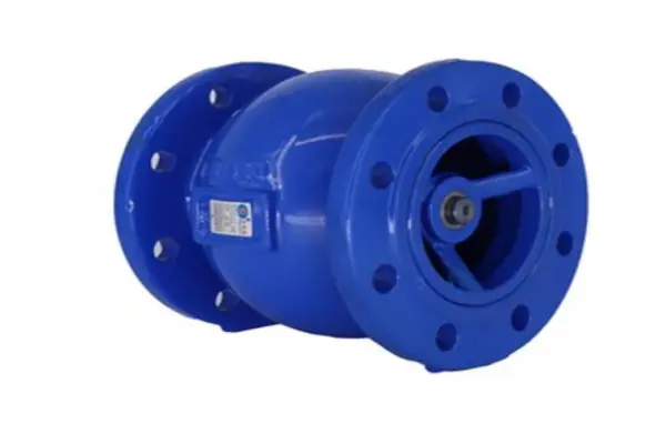 Lift check valve