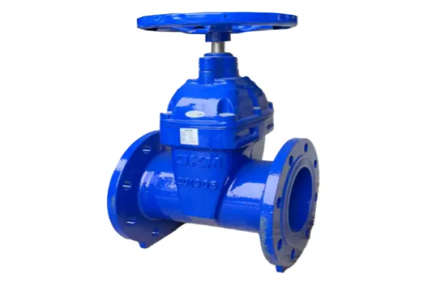 OKM Valve