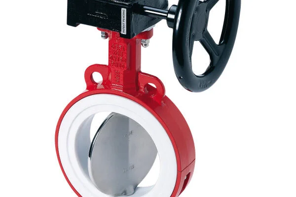 PTFE Butterfly valve