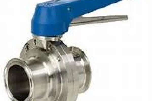 Sanitary valve