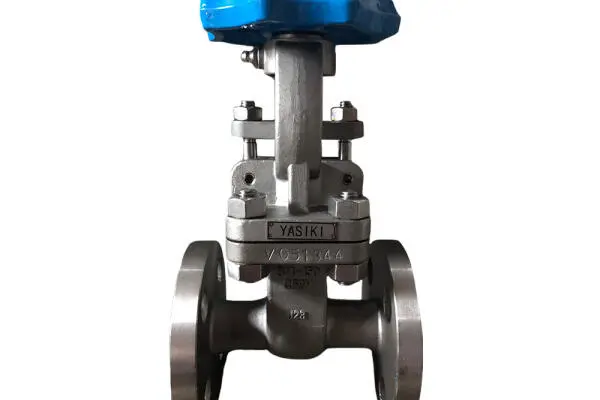 SS 304 gate valve