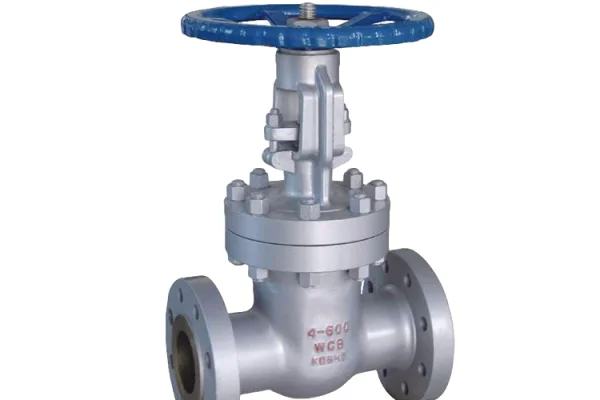 SW valve