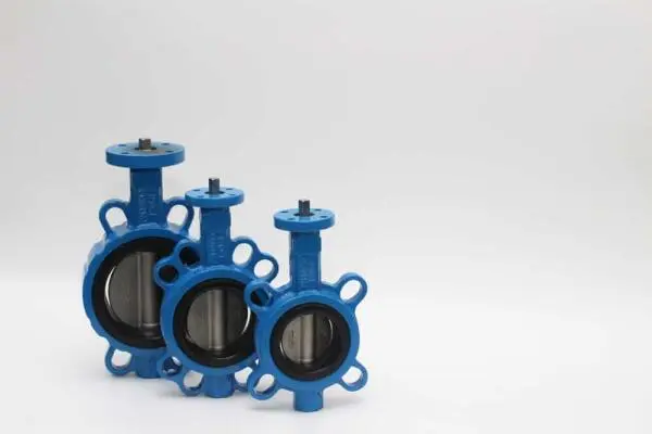 types of butterfly valve