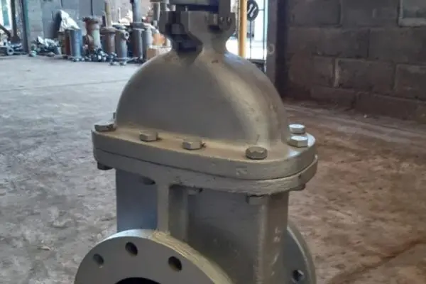 Valve 8 inch