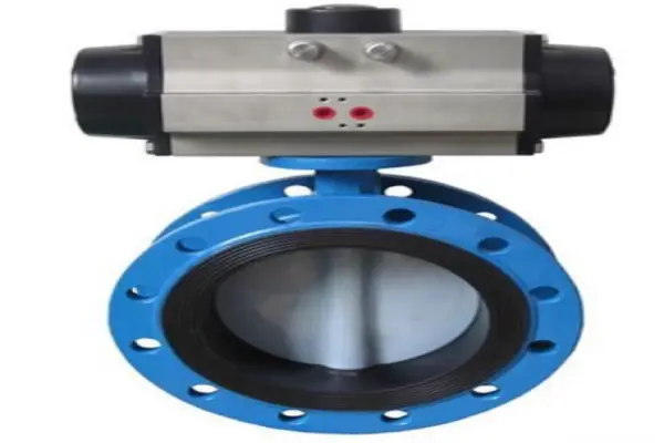 Van bướm 2 mặt bích