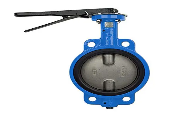 Valve EPDM