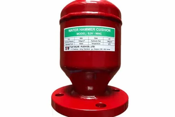 Van búa nước DN100