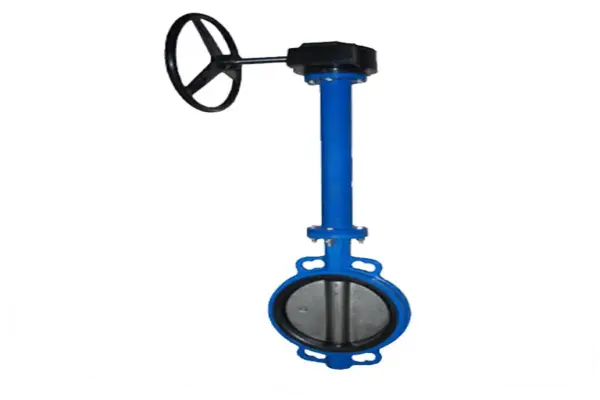 Van bướm cổ dài