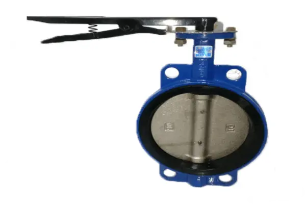 Van bướm DN125
