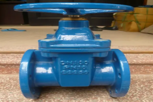 Van chặn DN100