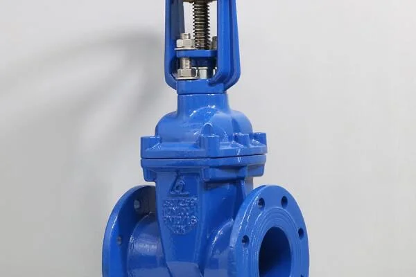 Van Cổng DN50 Shinyi