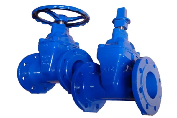 Van cổng DN80
