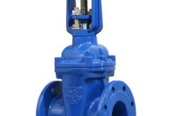 Van cổng Hàn Quốc