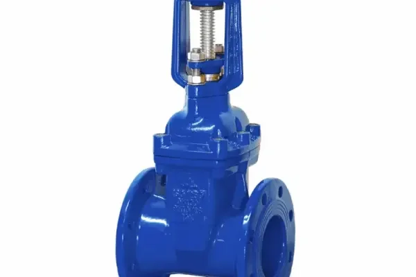 Van cổng Shinyi dn100