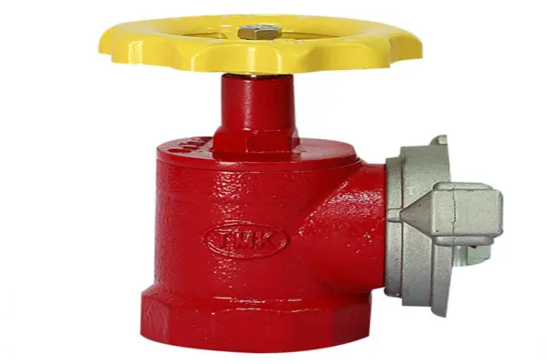 Van góc chữa cháy DN65