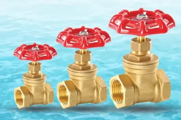 Van nước hai chiều