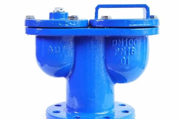 Tổng quan về van xả khí D50
