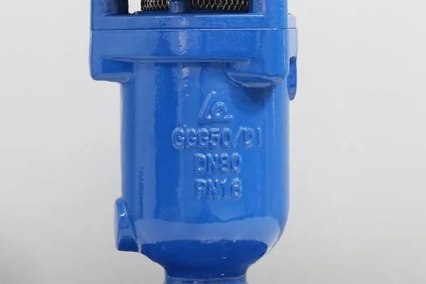 Van xả khí gang DN100