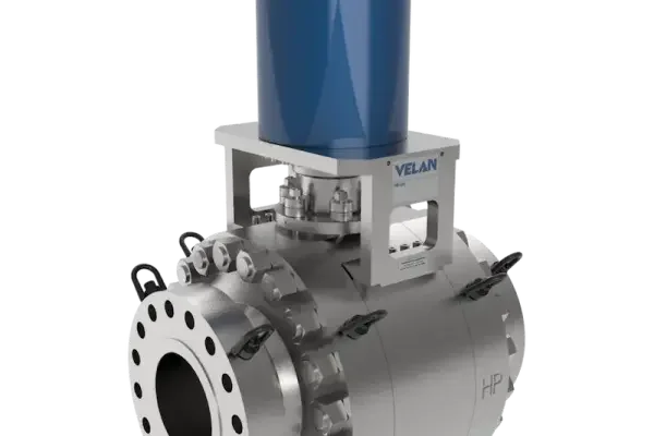 Velan valve