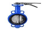 200mm Butterfly Valve