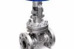 Gate valve 300