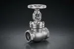 socket-weld-globe-valve