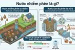 cach-loc-nuoc-phen