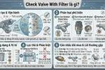 check-valve-with-filter