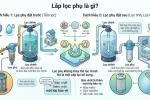 lap-loc-phu