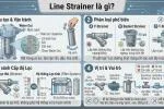 line-strainer