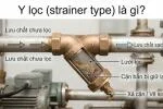 strainer-type