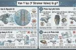 y-strainer-valve
