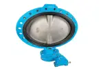 Api 609 Butterfly Valve