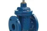 BS 5163 gate valve