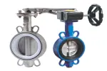 Butterfly valve 10