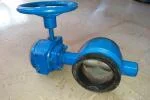 Butterfly Valve 100mm