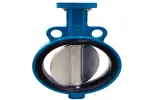Butterfly valve 2