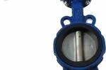 Butterfly valve dn100