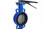 Butterfly Valve DN350