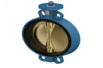 Butterfly valve Europe