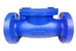 Check Valve Dn50