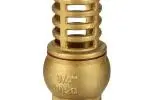 Foot Valve