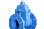 Gate valve DN 100