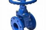 Gate valve DN80
