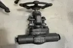 Globe valve 1 inch