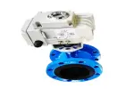 Butterfly valve Festo